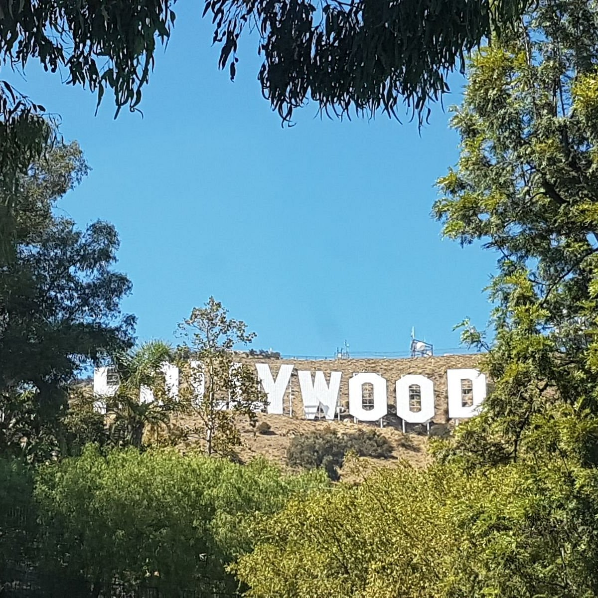 Hollywood yazısı tarihi