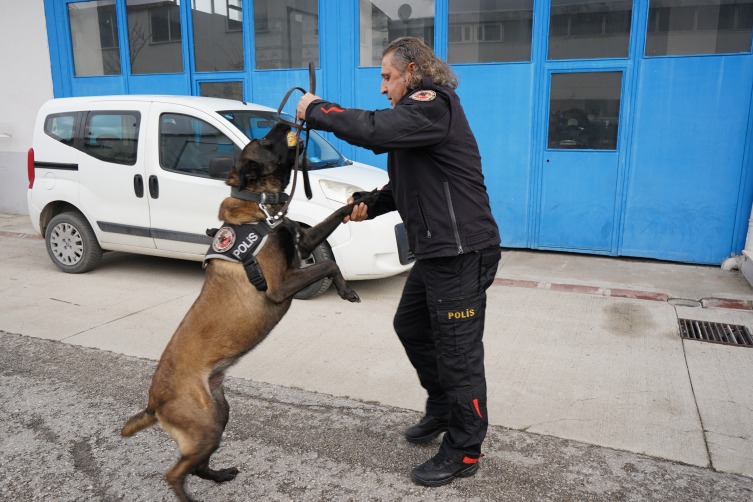 Narkotik ekiplerinin en büyük yardımcısı "Milon" seçildi