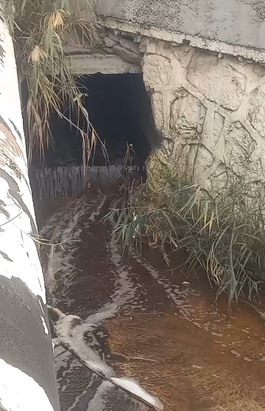 izmir büyükşehir belediyesine ceza esildi