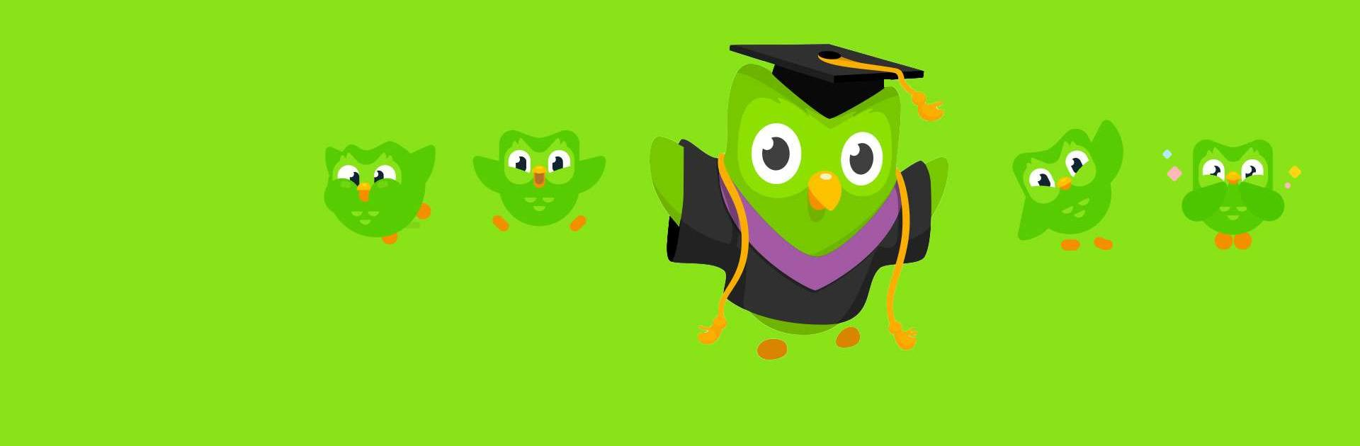 Duolingo dil öğrenme