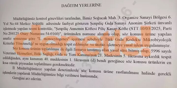 Bakteri