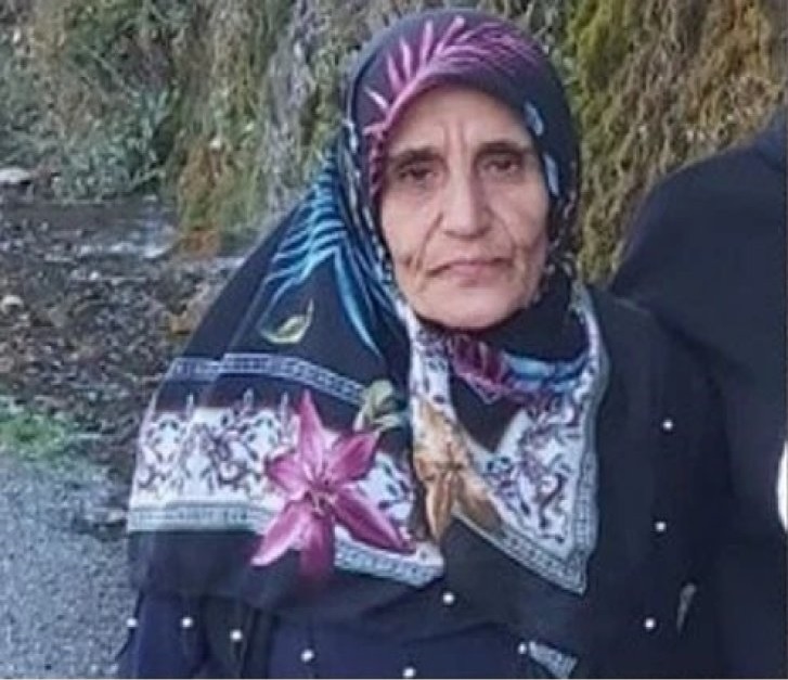 Feleknaz Son