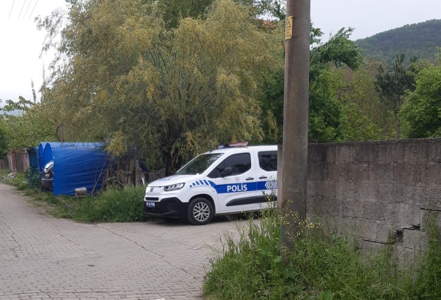 Zonguldak (1)