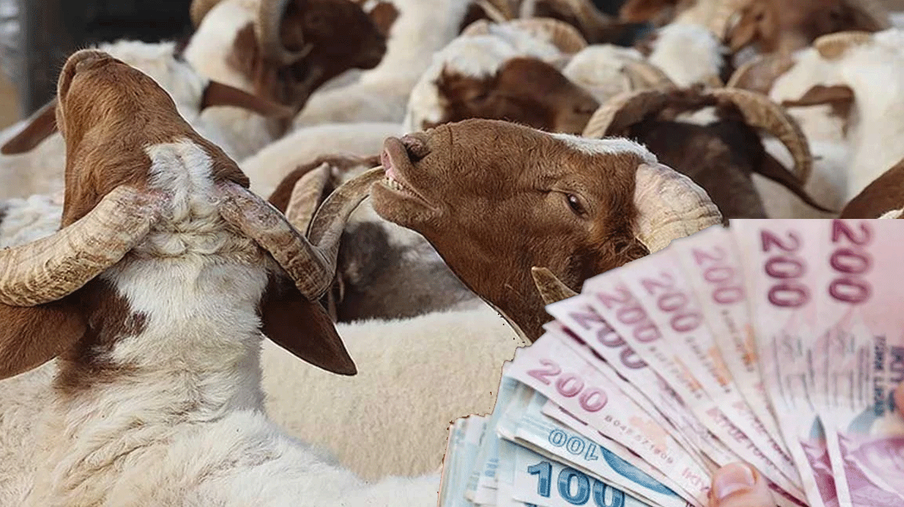 Kurban Bayramı ikramiyesi ne zaman yatacak 2025? Kurban Bayramı ikramiyesi artacak mı?